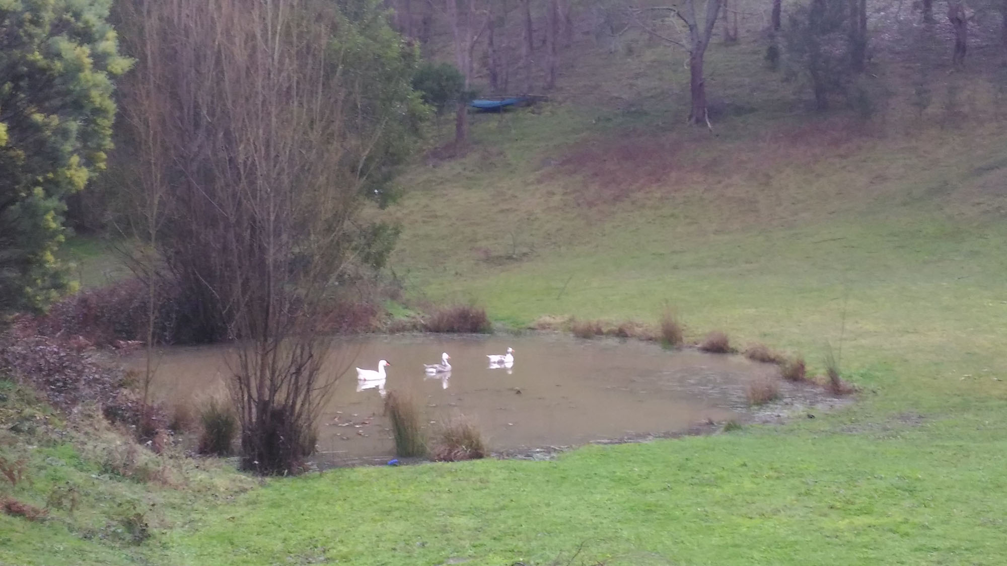 Our Dam